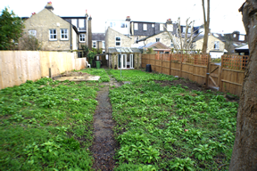 34A_George_Street_garden_one.png