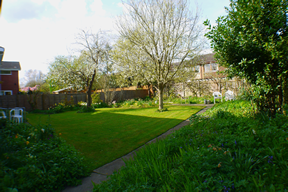 7_Penarth_place_rear_garden.png